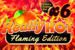 Really Hot Flaming Edition gamzix